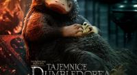 fotos z filmu fantastyczne zwierzęta tajemnice dumbledore'a