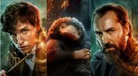 fotos z filmu fantastyczne zwierzęta tajemnice dumbledore'a