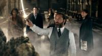 fotos z filmu fantastyczne zwierzęta tajemnice dumbledore'a