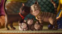 fotos z filmu SZKOŁA MAGICZNYCH ZWIERZĄT 3