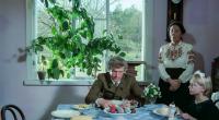 fotos z filmu BRZEZINA