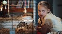 fotos z filmu SUPERFUTRZAK I ZŁOŚLIWA WIEWIÓRKA