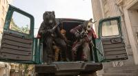 fotos z filmu JAK OBRABOWAĆ BANK