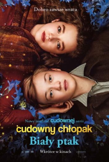 plakat do filmu CUDOWNY CHŁOPAK: BIAŁY PTAK